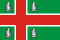 Flag of Rameshki, Tver Oblast