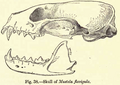 Thumbnail for version as of 11:03, 24 May 2011