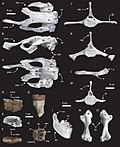 Thumbnail for version as of 20:38, 14 June 2026
