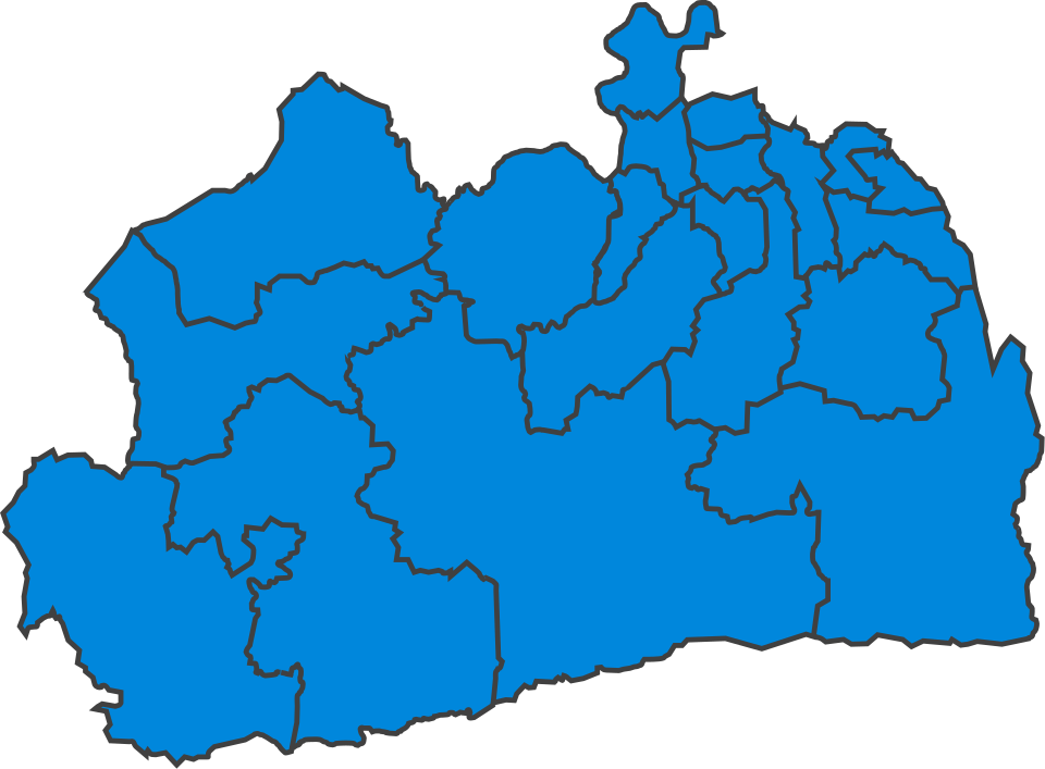 File:SurreyParliamentaryConstituency1955Results.svg