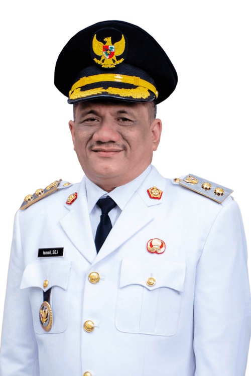 File:Wakil Bupati Aceh Tamiang Ismail.png