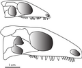 Thumbnail for version as of 20:54, 1 December 2016