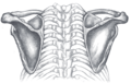 Thumbnail for version as of 03:36, 20 November 2006