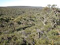 {{Cultural Heritage Australia|105967}}