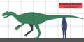 Sinotyrannus.