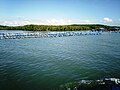 Aquaculture farms