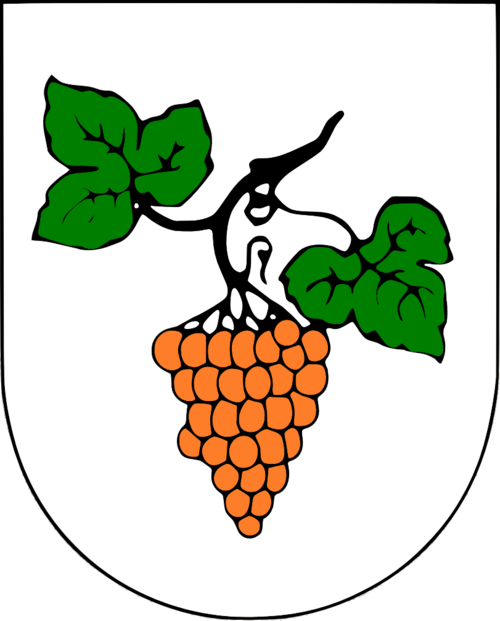 File:Coat of arms of Rakovac.png