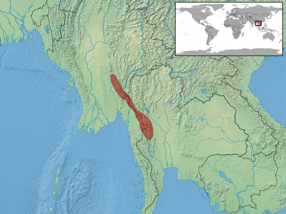 File:Cyrtodactylus feae distribution.png
