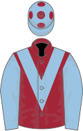Maroon, light blue chevron and sleeves, light blue cap, maroon spots