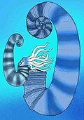 Thumbnail for version as of 04:58, 25 July 2011