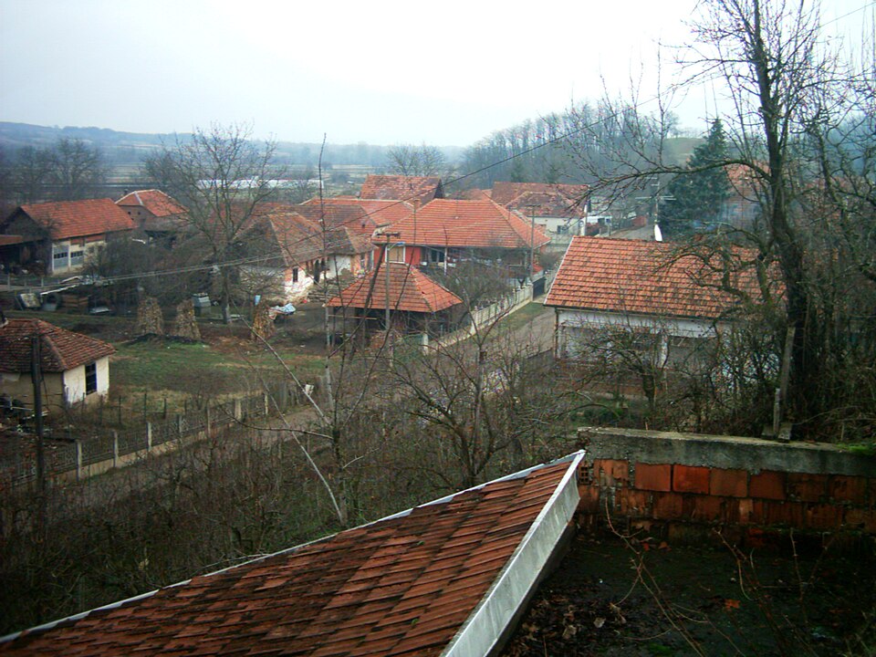 File:Vratare 11.01.11-7.JPG