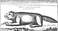 Thumbnail for version as of 03:53, 1 June 2012