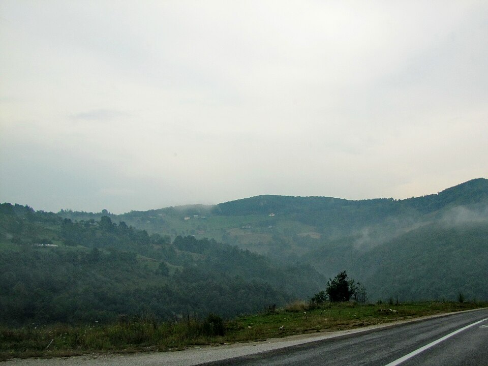 File:IzrokTT.JPG