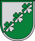 Coat of arms (2009–2021), new arms being designed