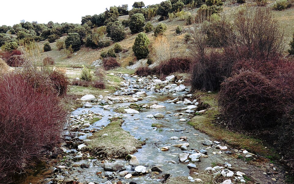 File:P1000586-G1680x1050 (41139726881).jpg