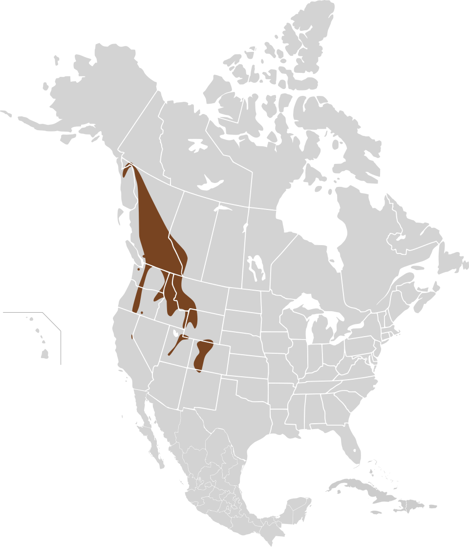File:Phenacomys intermedius map.svg