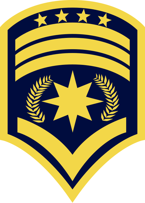 File:Técnico Jefe de Comando Conjunto.svg