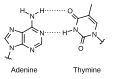 Thumbnail for version as of 09:42, 17 February 2021