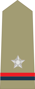File:Assistant Sub-Inspector.svg
