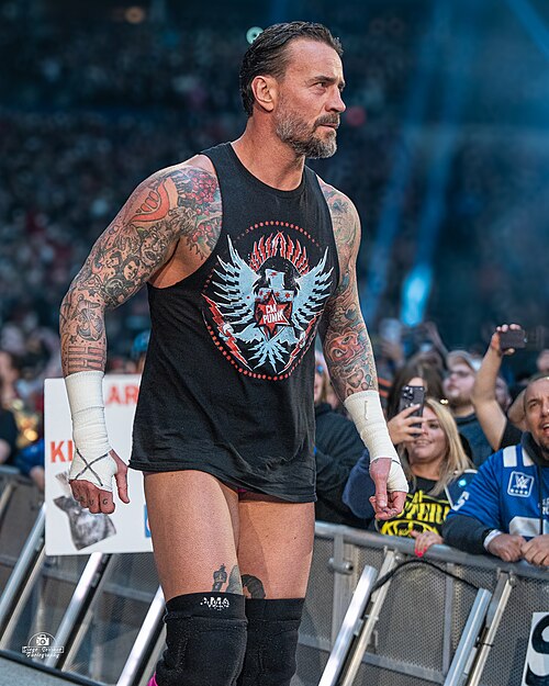 File:CM Punk RR25.jpg