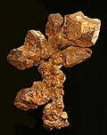 Thumbnail for version as of 22:04, 24 April 2010