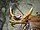 Stub icon