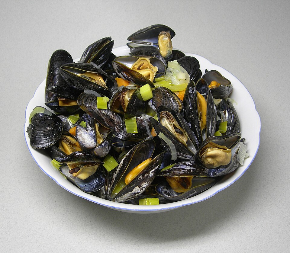 File:Rheinische Muscheln.jpg