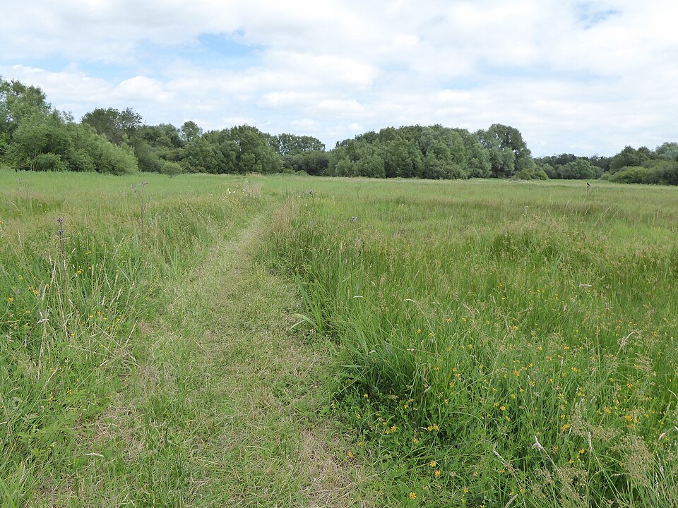 File:Thelnetham Fen 4.jpg