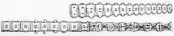 Drawing of vertebrate on a white background