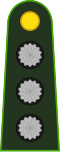 CapitánArgentine Army