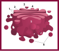 Thumbnail for version as of 02:16, 9 December 2012