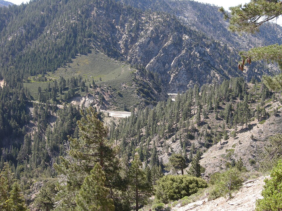 File:Islip-saddle.jpg