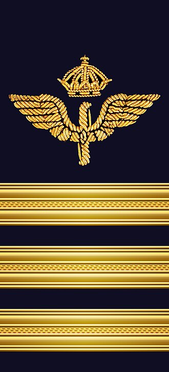File:OF-4 Överstelöjtnant FV hylsa.jpg