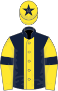 Dark Blue, Yellow stripe, Yellow sleeves, Dark Blue armlets and star on Yellow cap