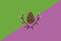 Flag of Stroe, Gelderland (PNG Version)