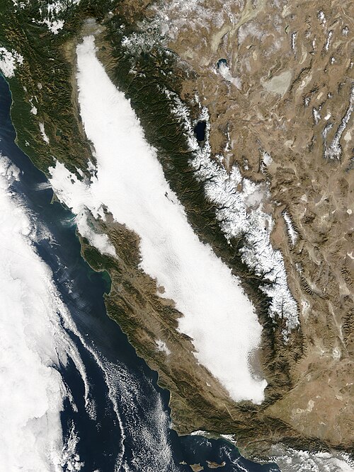 File:Tule Fog California - 2005.jpg