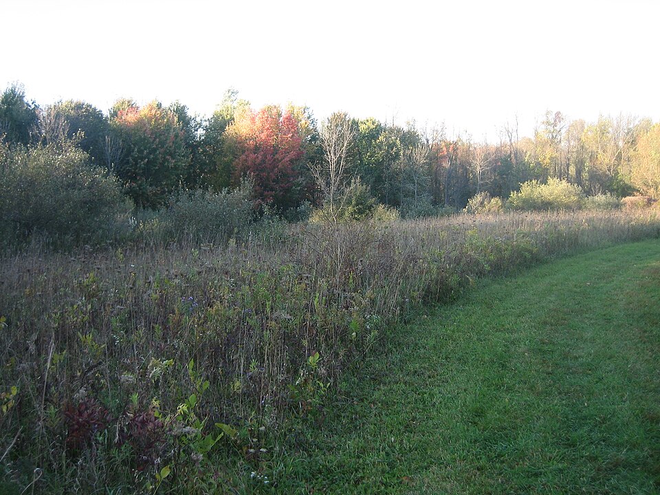 File:Black creek park.jpg