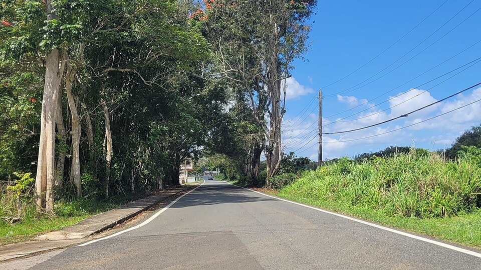 File:Carretera PR-675, Vega Baja, Puerto Rico.jpg