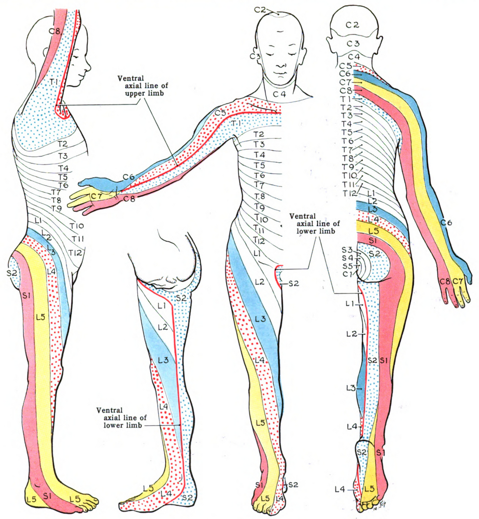 File:Grant 1962 663.png