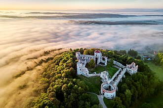 Tenczyn Castle