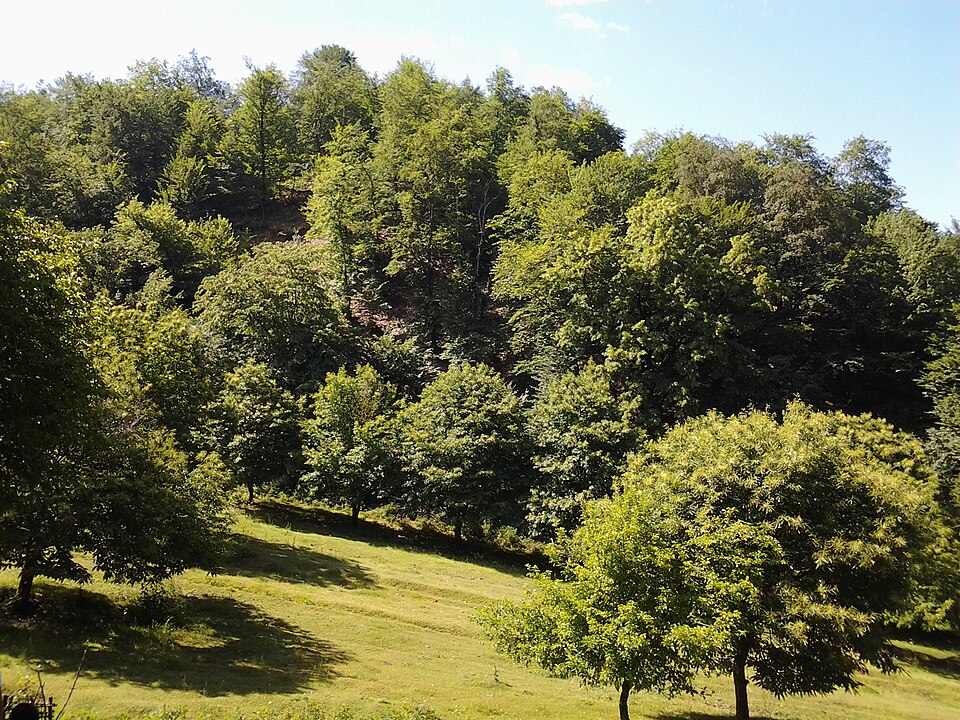 File:Azerbaycan Balaken.jpg