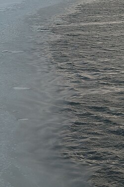 Grease ice in the Bering Sea