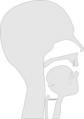Thumbnail for version as of 03:53, 14 June 2024