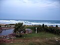 Article  Jeffreys Bay
