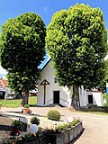 Naturdenkmal 2 Linden bei der Kapelle
