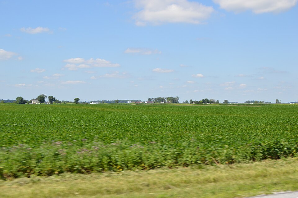 File:Spencer Township from 117.jpg