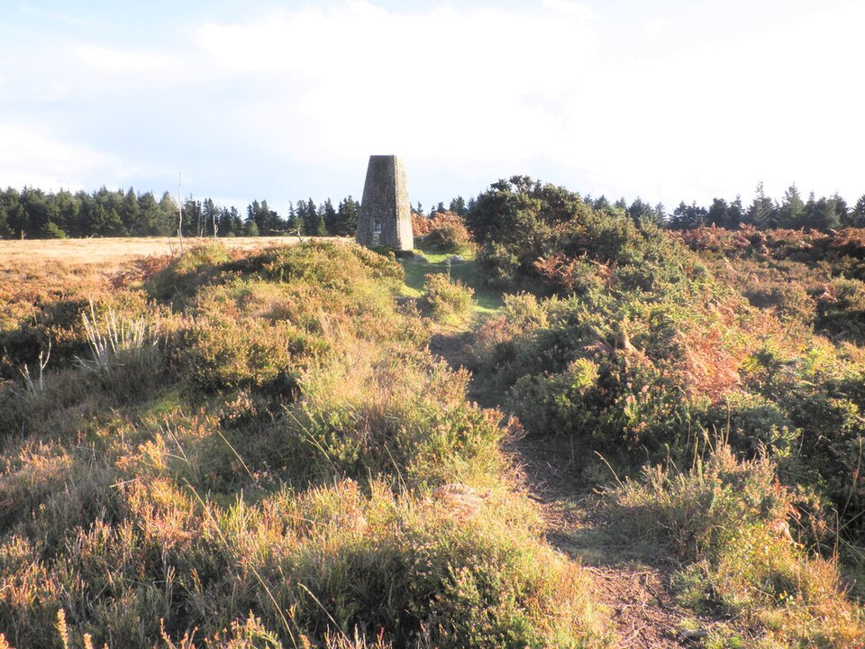 File:Summit of Withycombe Common (geograph 2677254).jpg