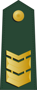 File:Taiwan-army-OR-7.svg
