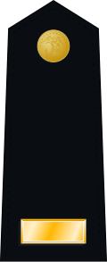 File:US Marine O1 shoulderboard dress.svg