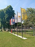 Flags on the field